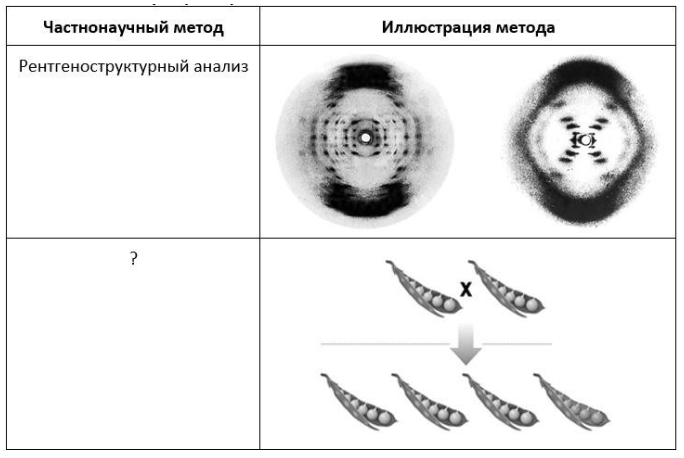 Вариант 1