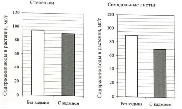 Вариант 1