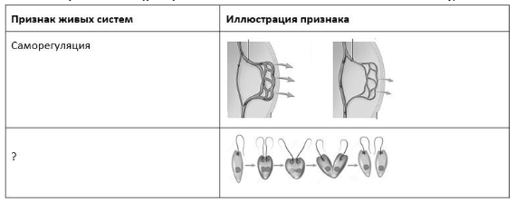 Вариант 4