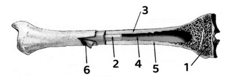 Вариант 5