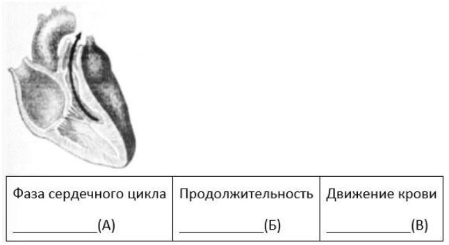 Вариант 5