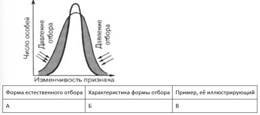 Вариант 6