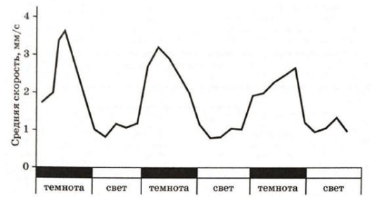 Вариант 7