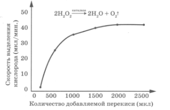 Вариант 7