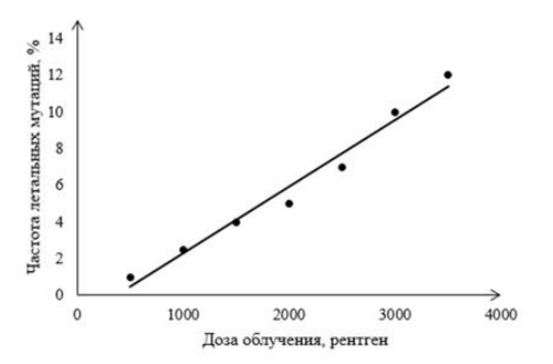 Вариант 9