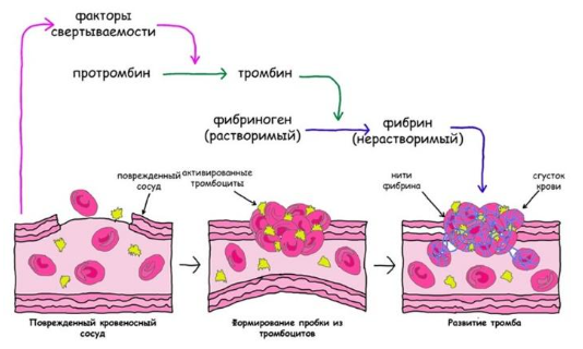 Вариант 10