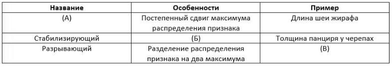 Вариант 11