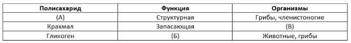 Вариант 12