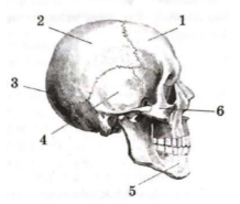 Вариант 24