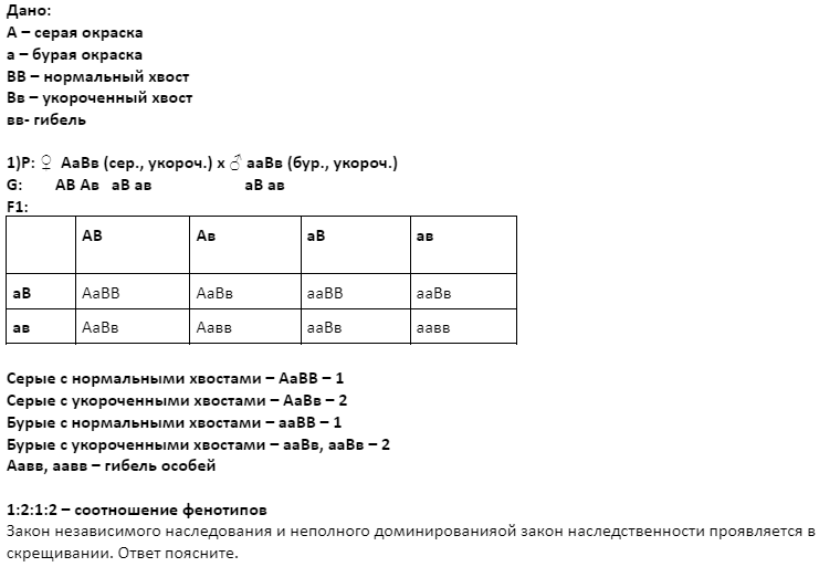 Вариант 24