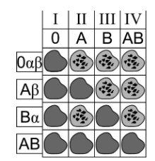 Вариант 30