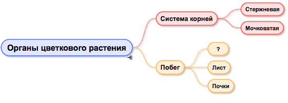 Вариант 11