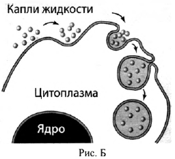 Вариант 11