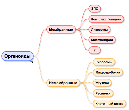 Вариант 14